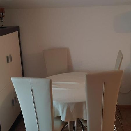 Apartmani Citrus Novigrad Filipac Exteriér fotografie