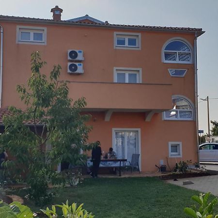 Apartmani Citrus Novigrad Filipac Exteriér fotografie