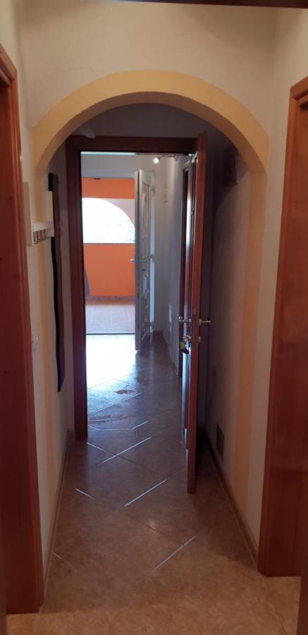 Apartmani Citrus Novigrad Filipac Exteriér fotografie