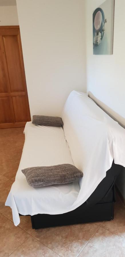 Apartmani Citrus Novigrad Filipac Exteriér fotografie