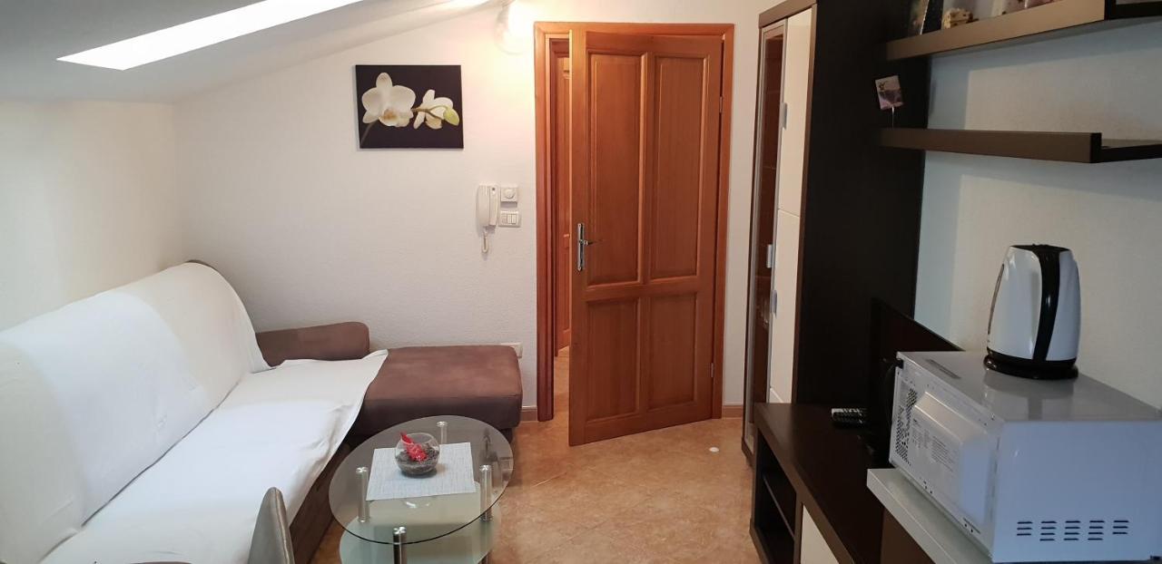Apartmani Citrus Novigrad Filipac Exteriér fotografie