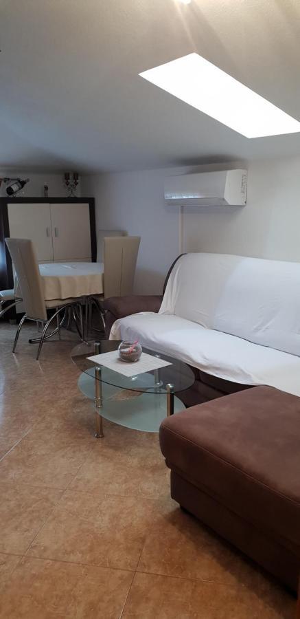 Apartmani Citrus Novigrad Filipac Exteriér fotografie