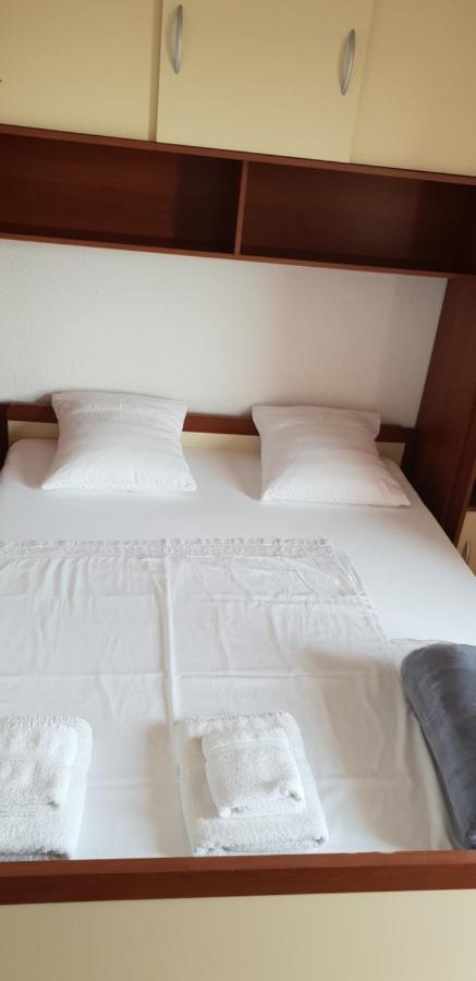 Apartmani Citrus Novigrad Filipac Exteriér fotografie