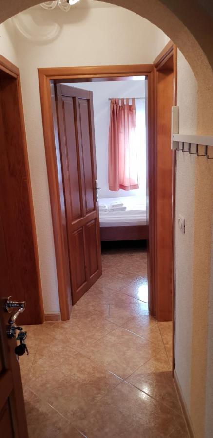 Apartmani Citrus Novigrad Filipac Exteriér fotografie