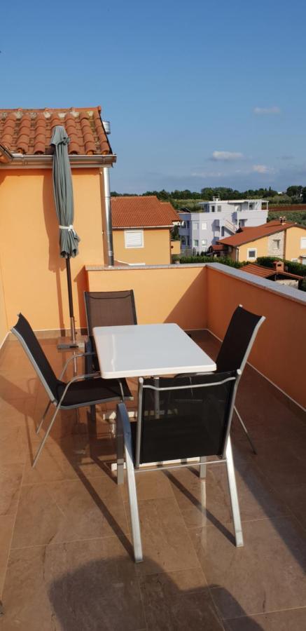 Apartmani Citrus Novigrad Filipac Exteriér fotografie