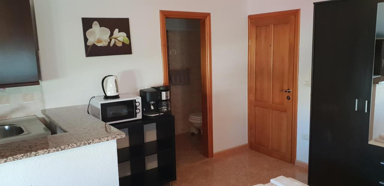 Apartmani Citrus Novigrad Filipac Exteriér fotografie