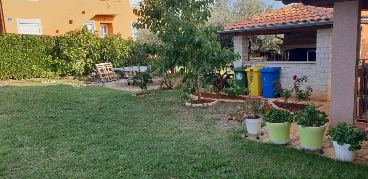 Apartmani Citrus Novigrad Filipac Exteriér fotografie