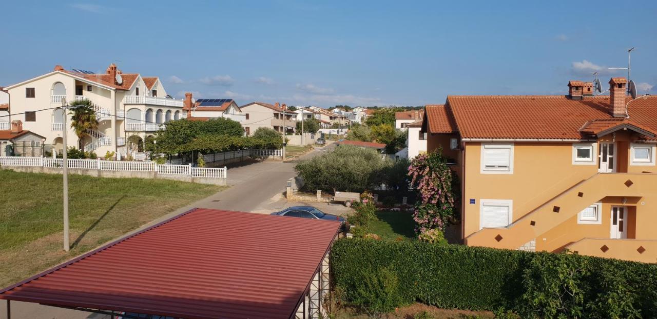 Apartmani Citrus Novigrad Filipac Exteriér fotografie