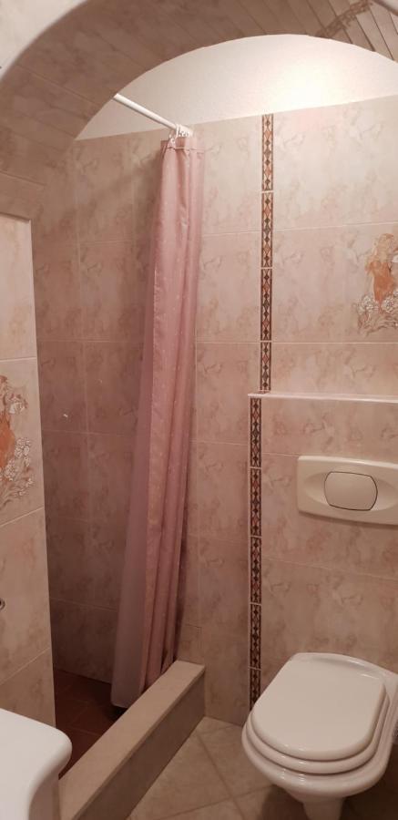 Apartmani Citrus Novigrad Filipac Exteriér fotografie