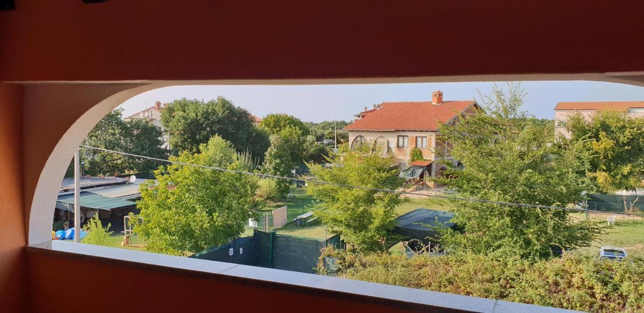 Apartmani Citrus Novigrad Filipac Exteriér fotografie